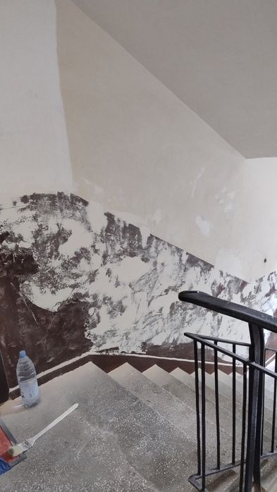 Zugrav case, apartamente, scări de bloc
