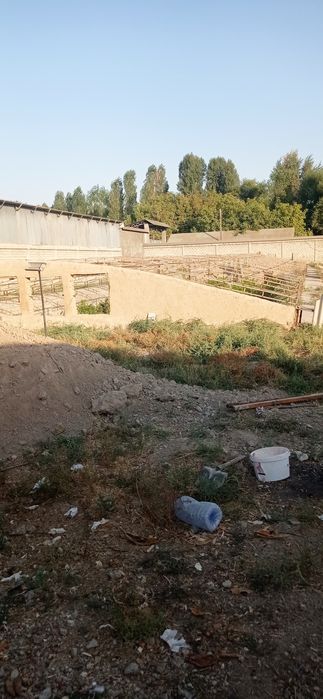 Ер участка  14 су́тик 1 су́тиги 5500 дан