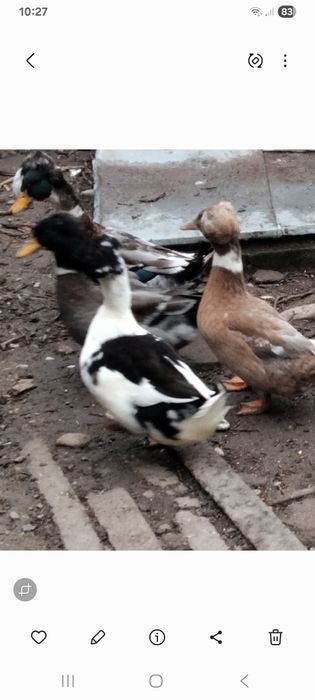 Rate moțate de anul acesta