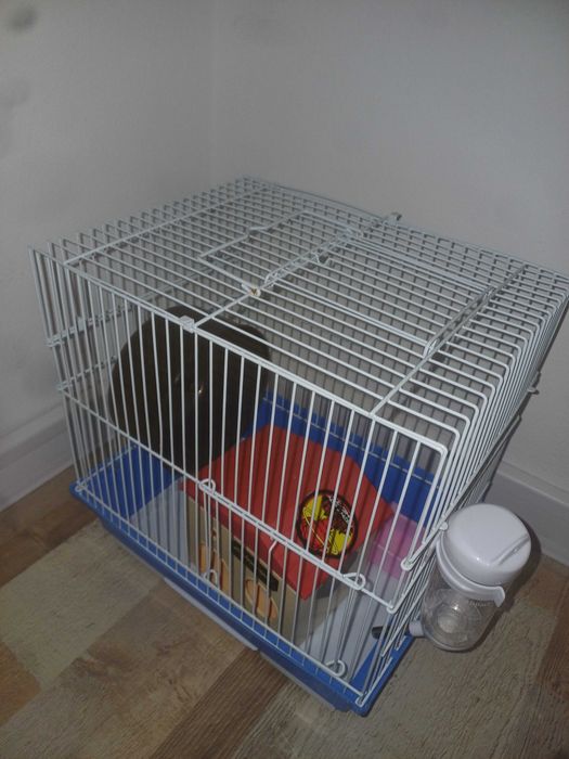 Cusca hamster complet ecipata