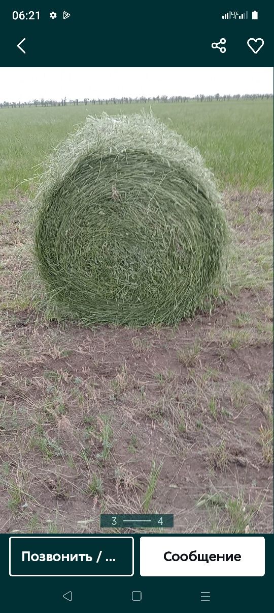 Сено урлон продам сено сено урлон продам разнавие