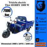 Triciclu electric Thor Hobby 1000W basculabil Agramix nou