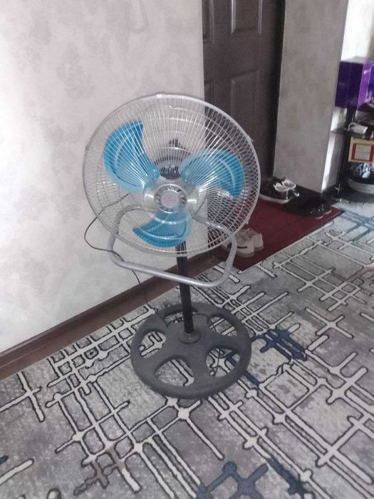 Кора шахзода чиннилари