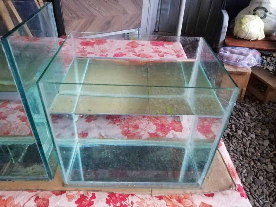 Acvariu de 15 sau 30 litri