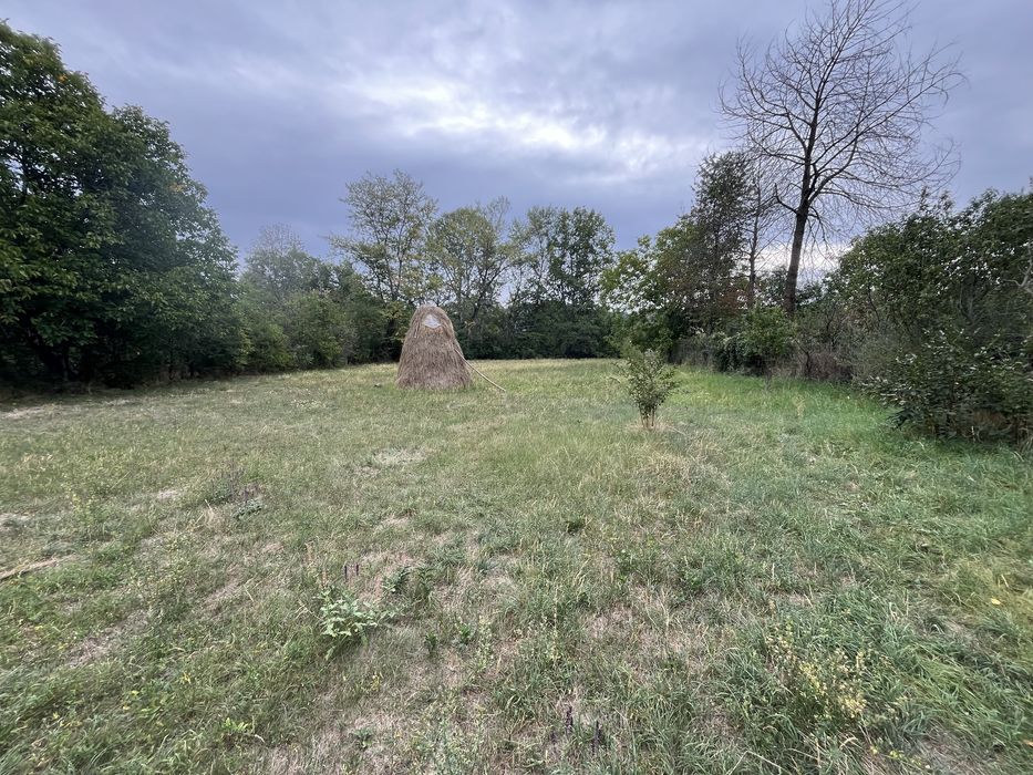 Teren intravilan 2.500 mp – Buciumeni, Dâmbovița