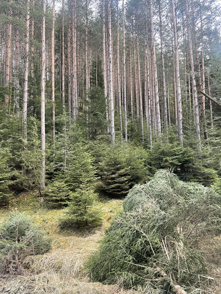 парцел,земя на яз.доспат