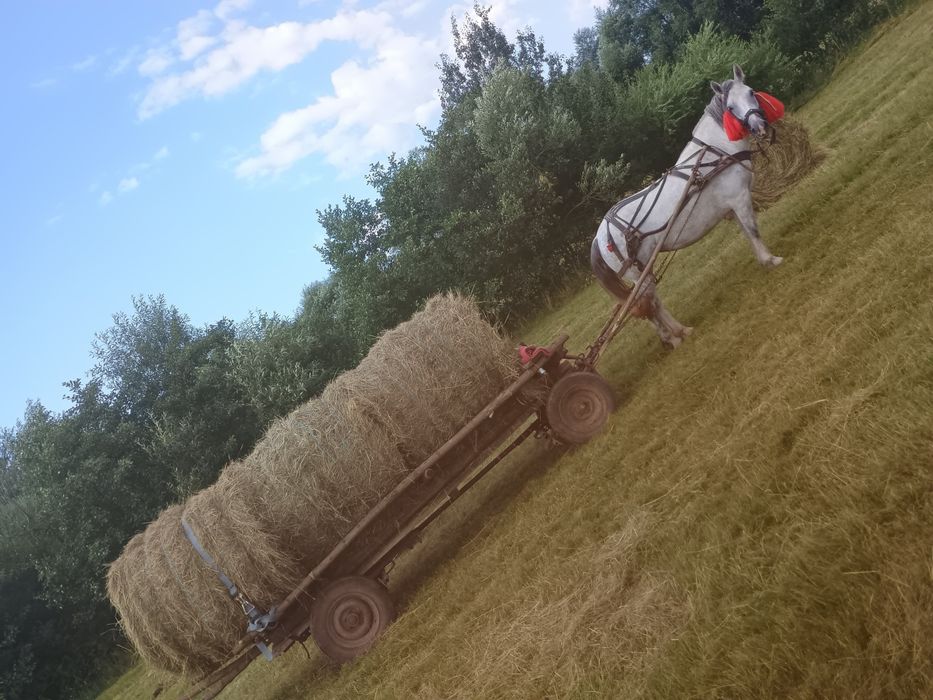 La schimb cu tractor unde e cazul dau diferența