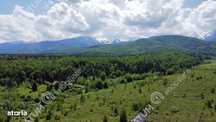 Teren extravilan de vanzare 800 mp in Avrig zona Valea Avrigului