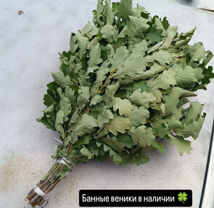 Банные веники дубовые