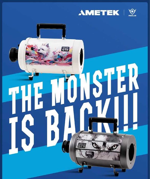 Груминг Бластер / Сешоар 2800W