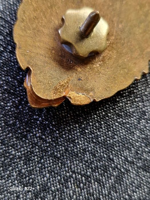 Военен Нагръден Знак Кадет ВВС Румъния Комунист