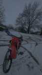 Rieju rr 50 sport