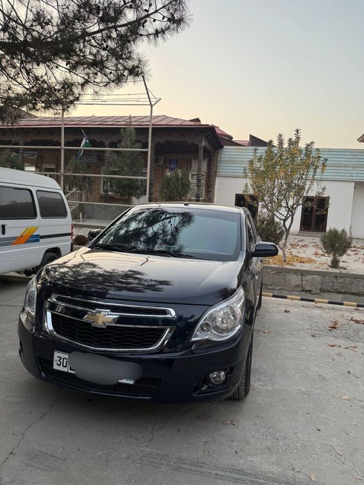 Cobalt 2024 ideal Radnoy kraska