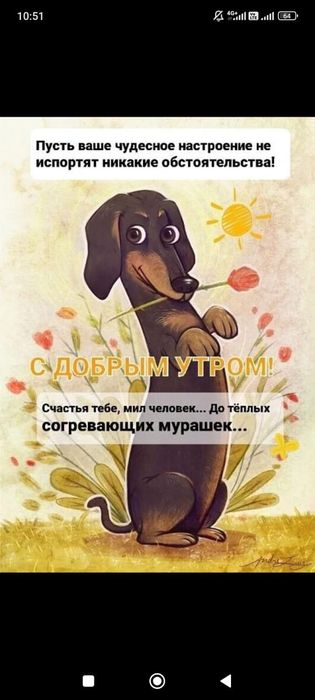 Передержка для котят и небольших животных 2500 Астана