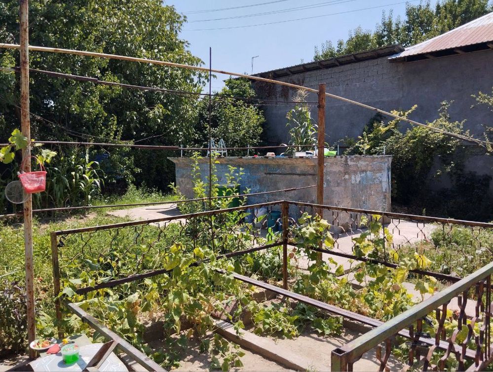 Продается дача в Паркенте! 6 соток