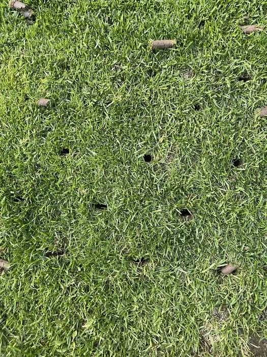 Aerare gazon cu aerator cu carote - solutie profesionala