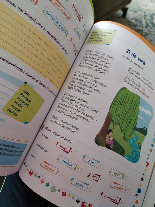 Caiet de lectura - Clasa 3 - Booklet NOU