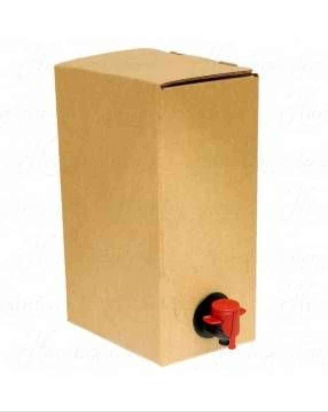 Cutii 3 litri Bag in Box