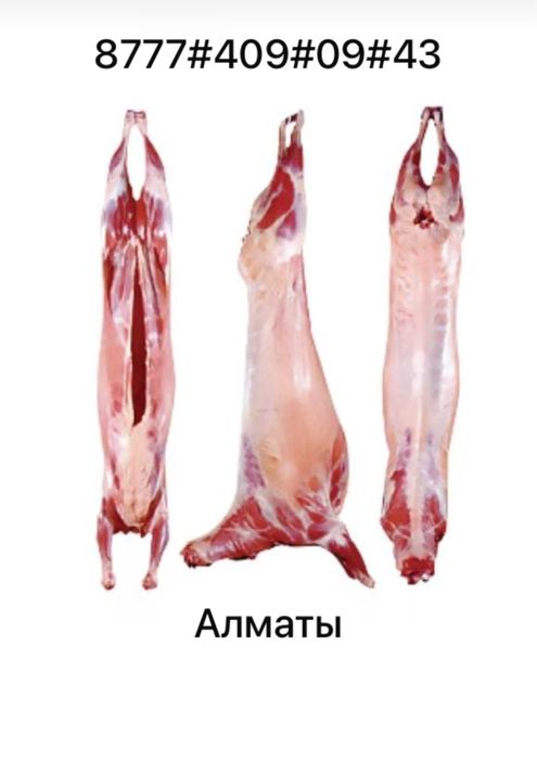 Қой еті сатылады,