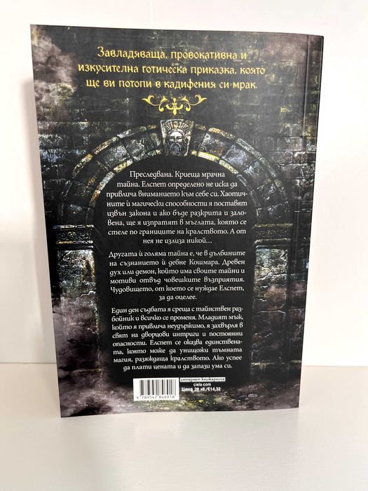 Един тъмен прозорец - Рейчъл Гилиг