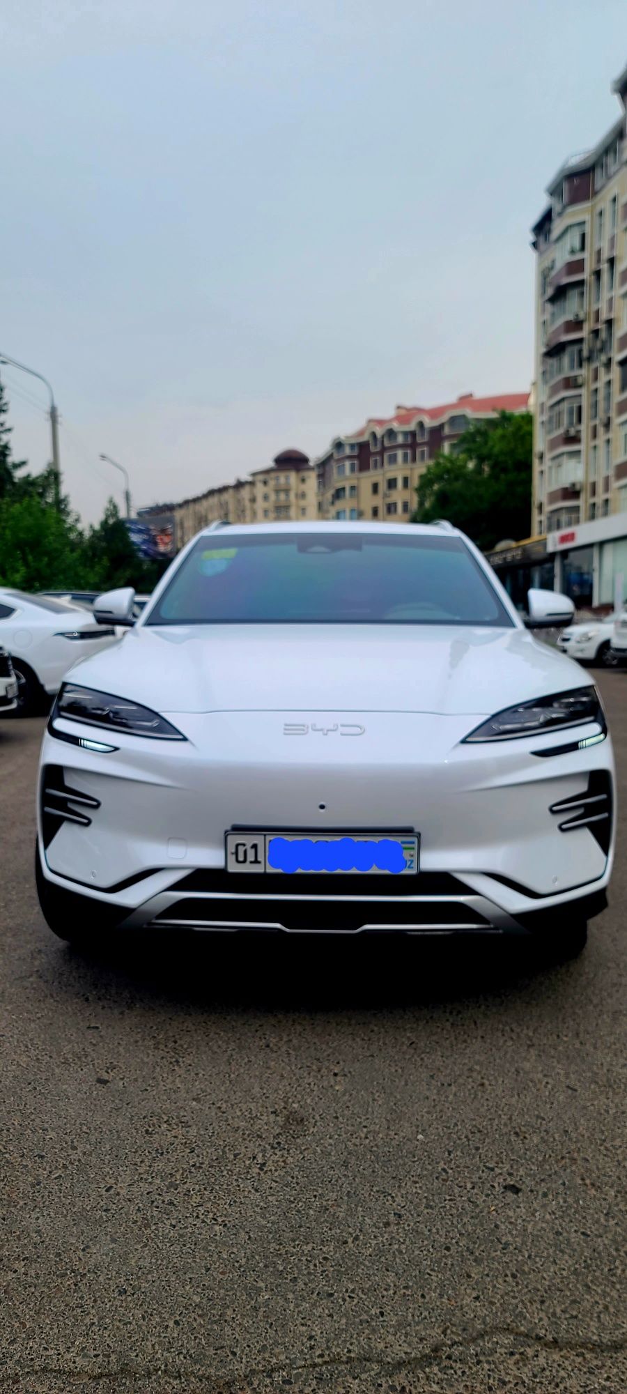 Продам свой BYD Champion 2025 model 605км