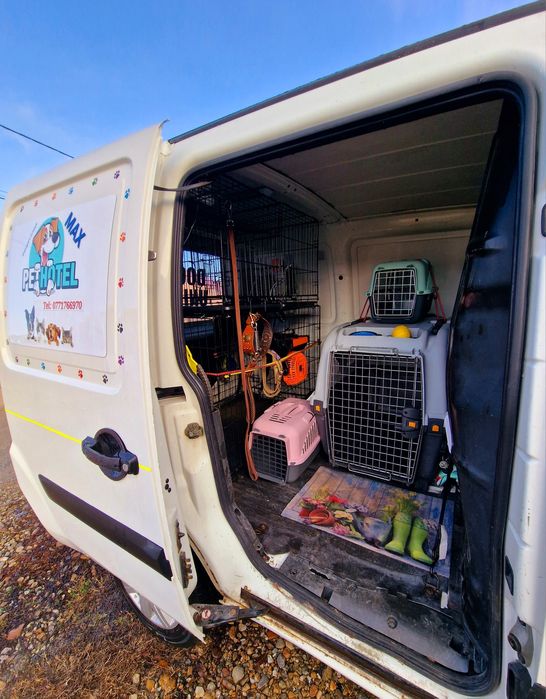 Animale de companie - TRANSPORT