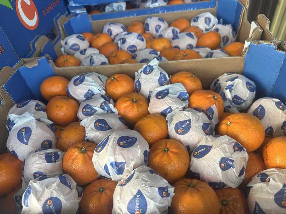 Мандарины апельсины грейпфрут лимон оптом с доставкой по городу