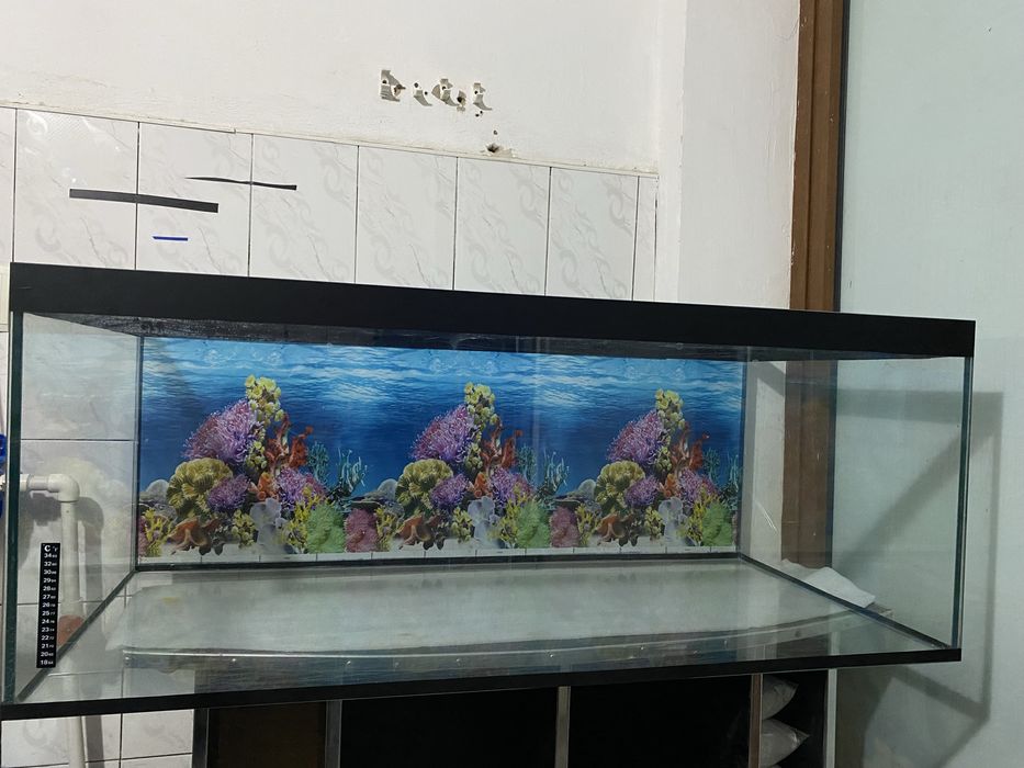akvarium 320- litr
