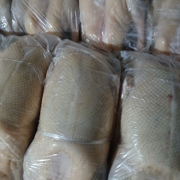 Продам гусей оптом и в розницу