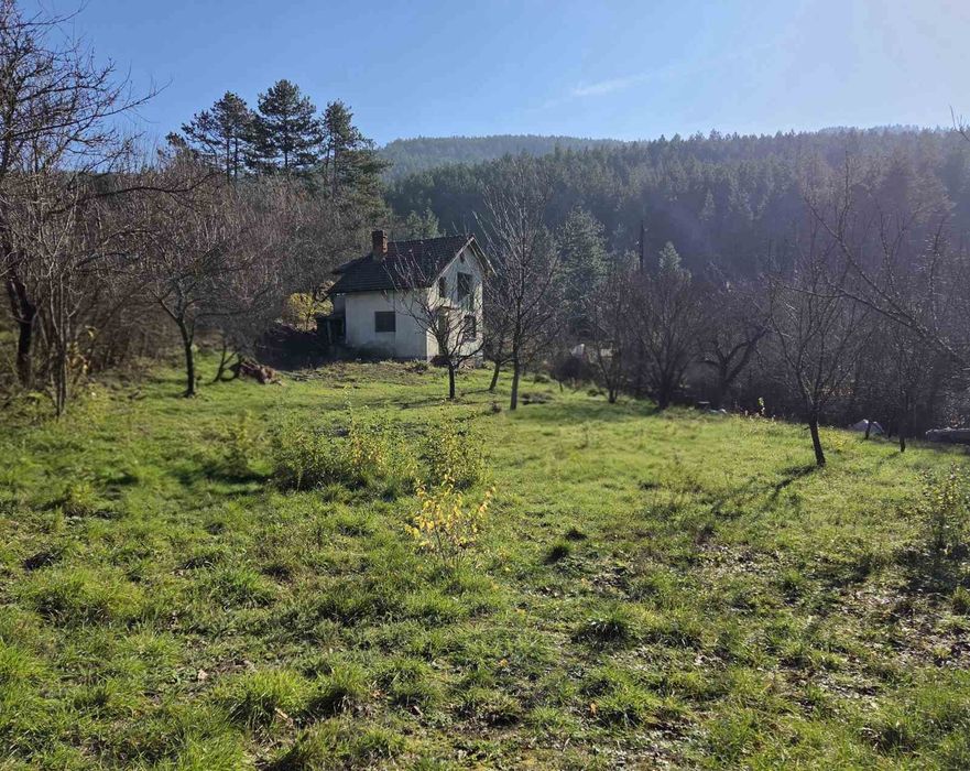 Самостоятелна къща гр.Кюстендил м.Гола Велика