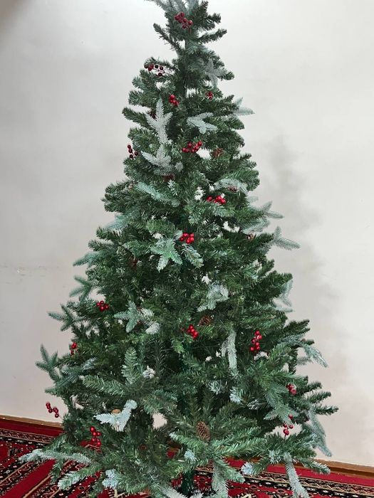 Янги йил арчаси,2,30м.атрофида,игрушкаларсиз хам узи чиройли туради