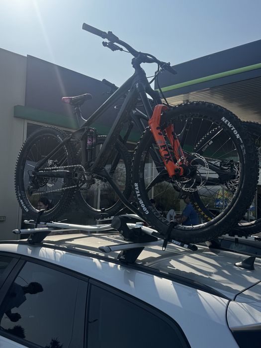 Vand trek remedy full fox