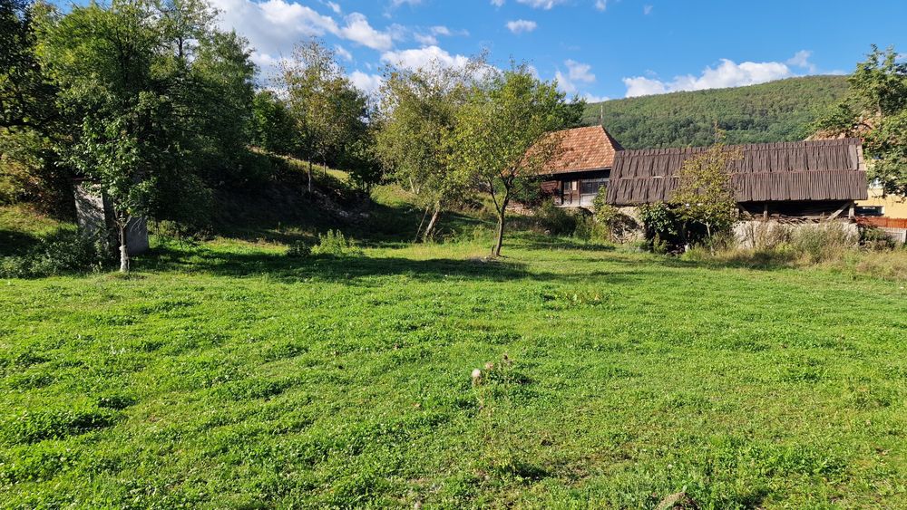 Vând casă și teren