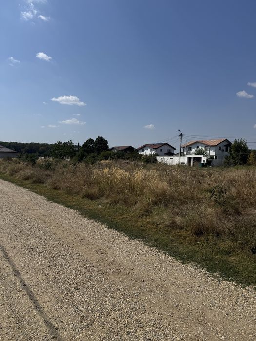 Teren 1250Mp Judetiul Giurgiu 15Km de Militari