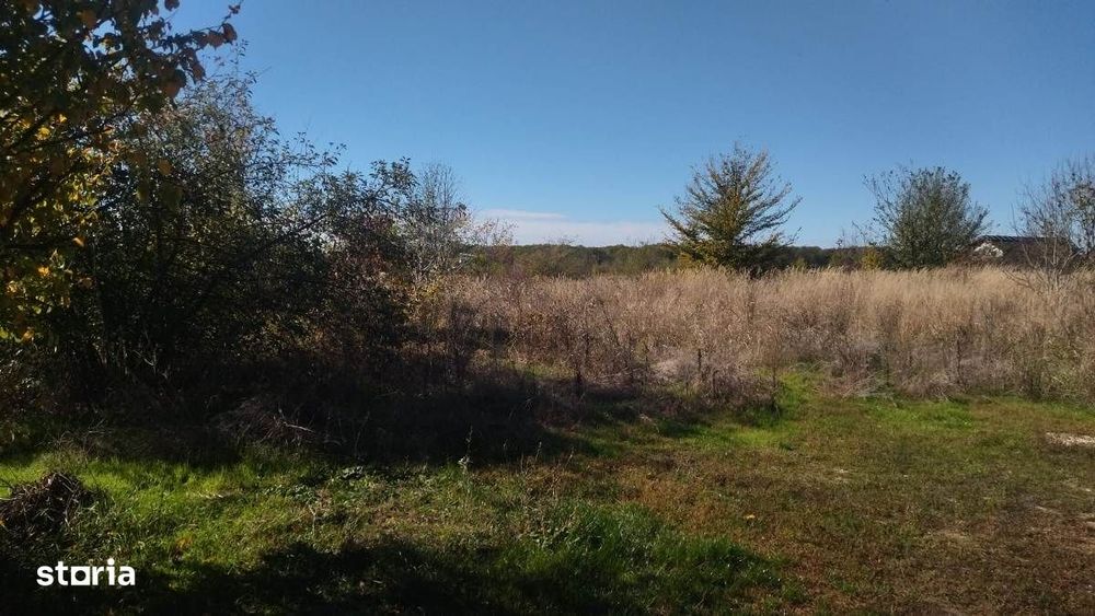 Teren 1000 mp intravilan Ciolpani