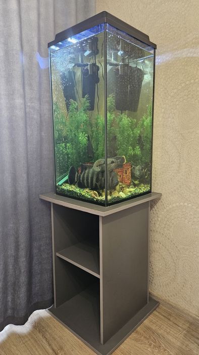Продаётся стильный аквариум 120 л (80×40 см) с тумбой!