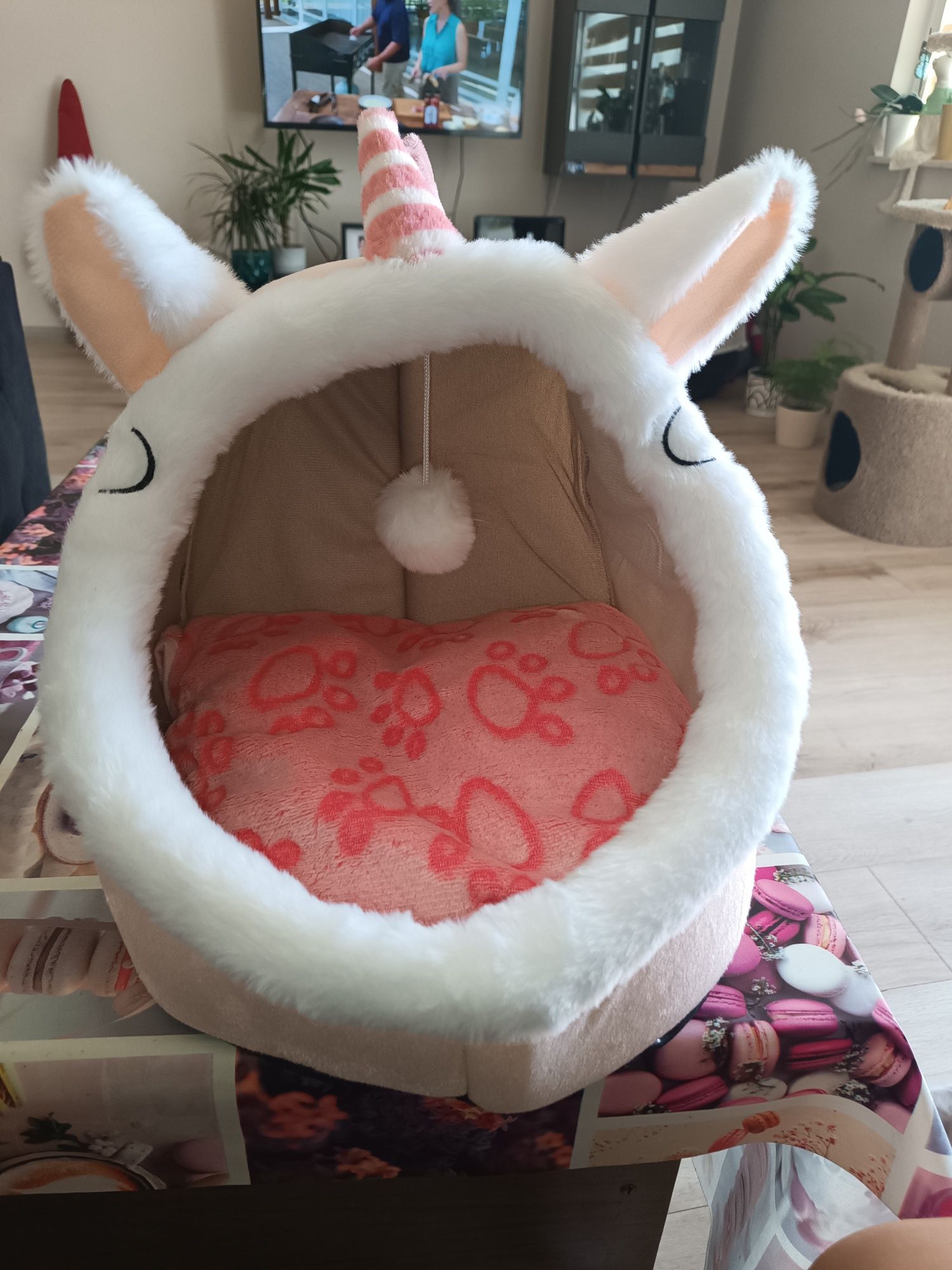 Легло за котка или куче
