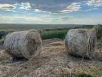 Baloti rotunzi de lucerna cu buruian coasa 1, anul 1 din agric. ecolog