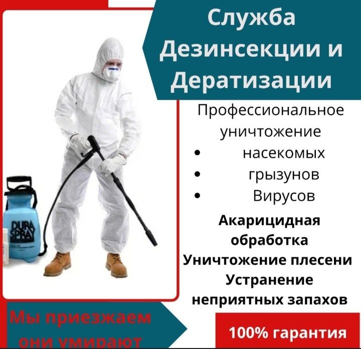 Дезинфекция Дезинсекция Дератизация