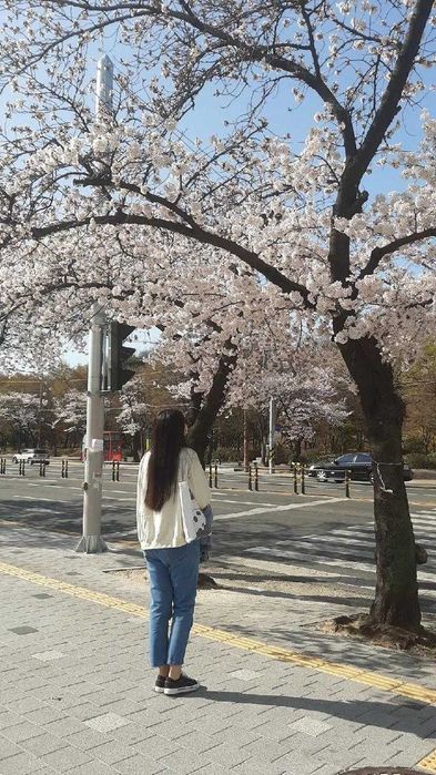 Онлайн корей сабағы-нөлден бастап