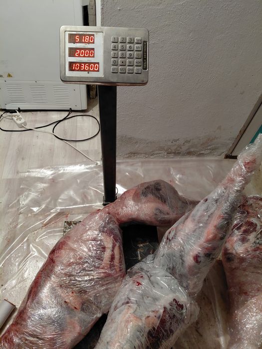 Киік еті, мясо халал