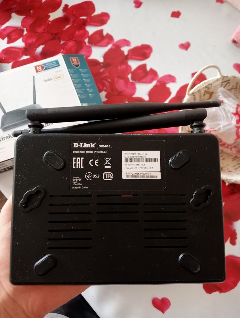 D-Link Wireless N300 Router