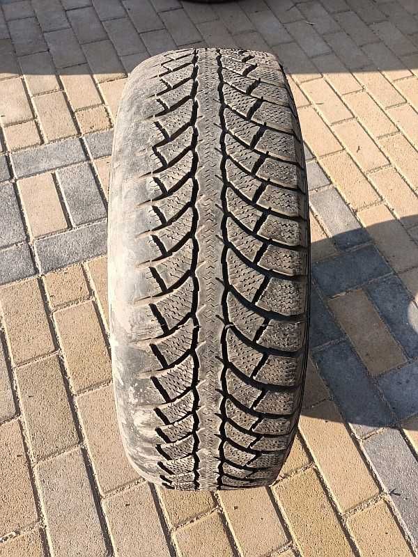 ОДНА шина 185/65 R15 - "Master Nordic RSI 2" (Европа), всесезонная.