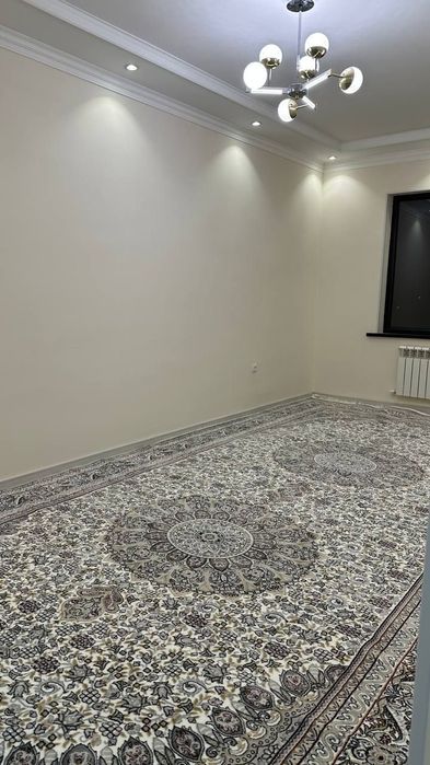 O'rikzor bozori oldi navastiroyka