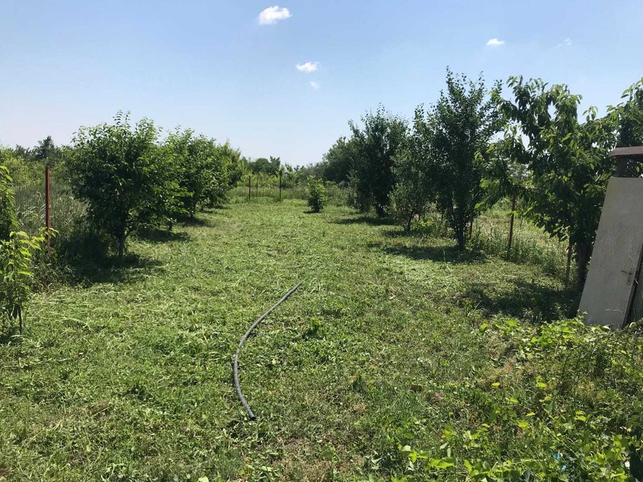 Teren 837 mp în Focșanei, Buzău – locul unde poți construi ACASĂ