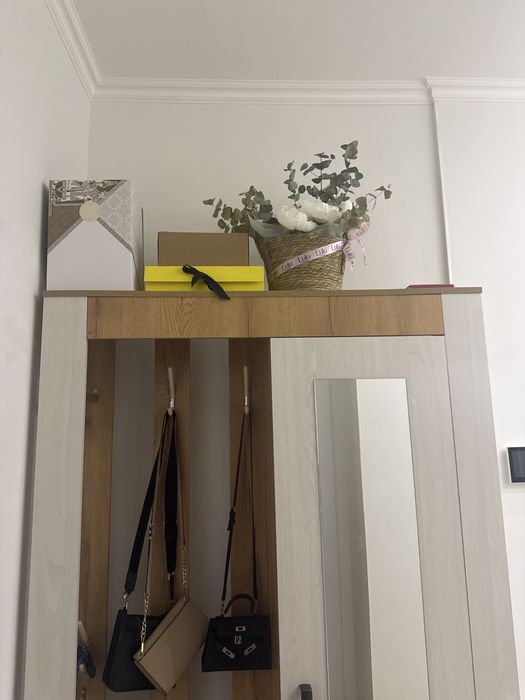 Шкаф для приходей с вешалкой