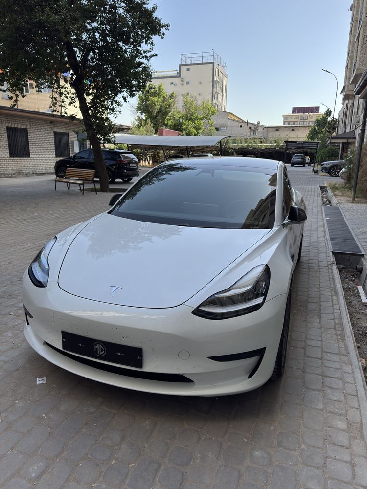 Tesla Model 3 Standart drive