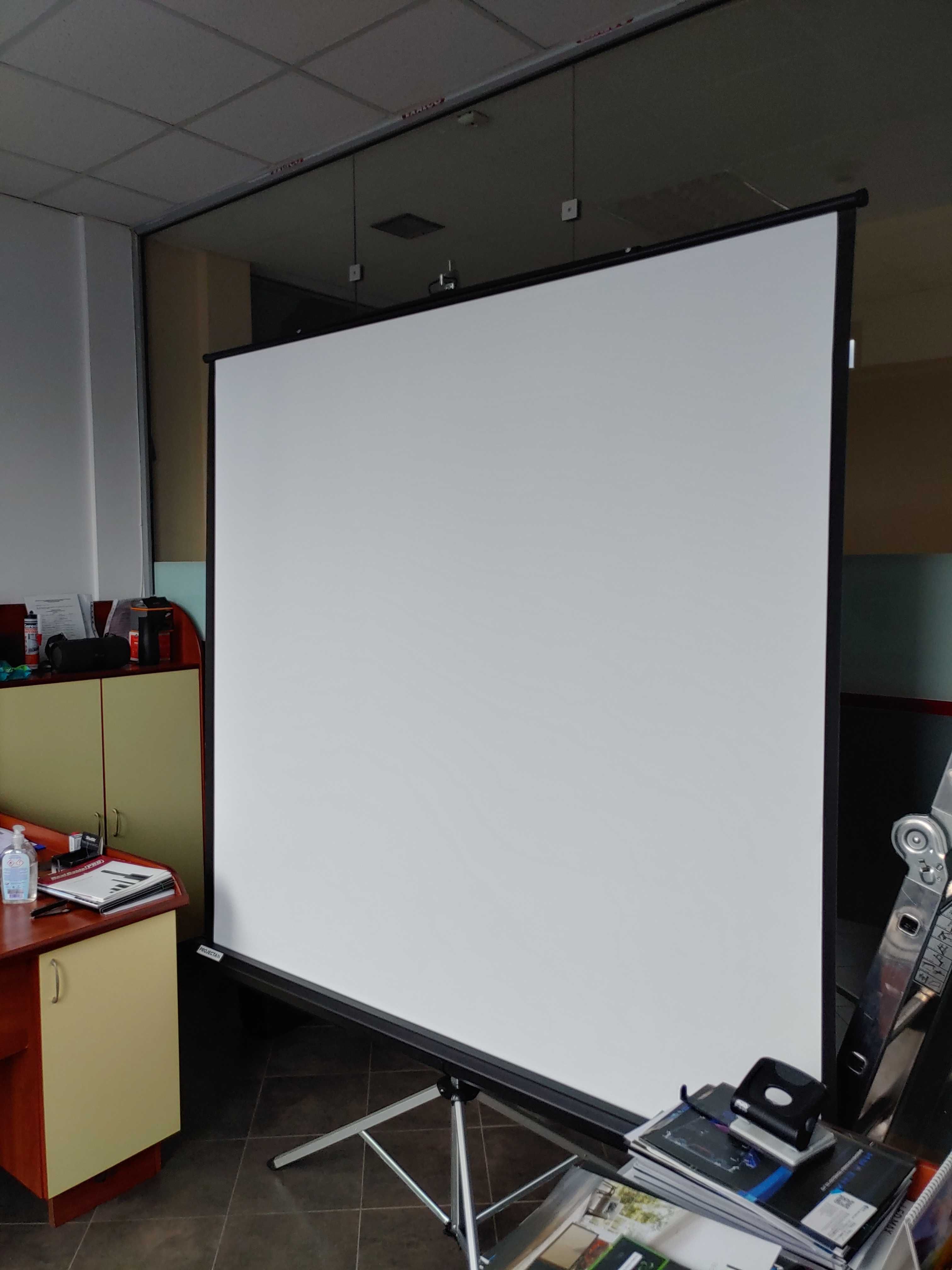 Преносим екран PROJECTA Picture King 244 cm 1:1