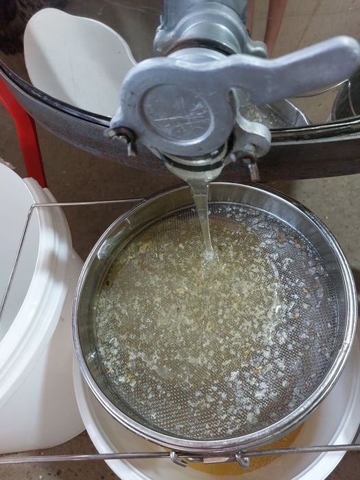 Miere de albine naturală!