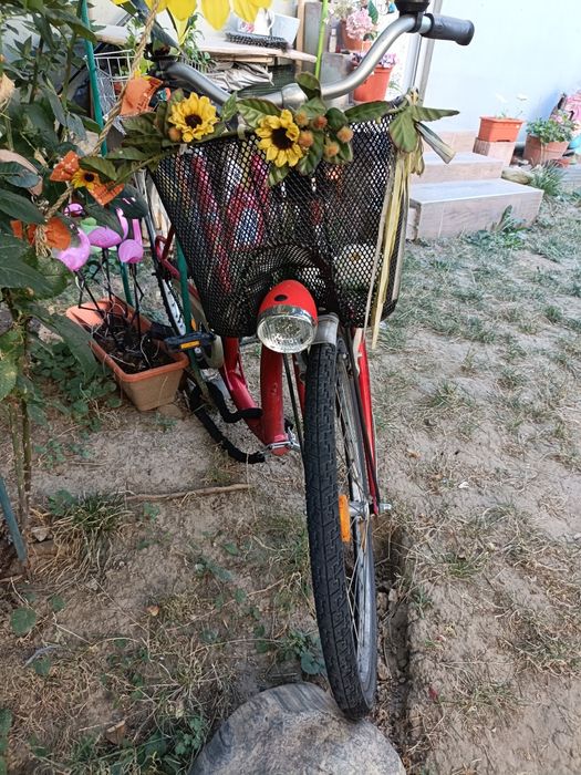 Bicicleta seniori Biria, deosebita